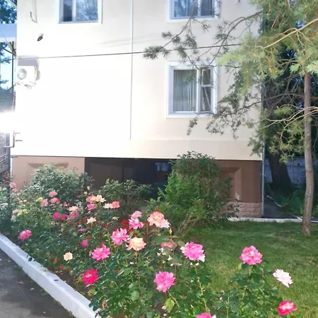 Appartement Air-moldova Dacia